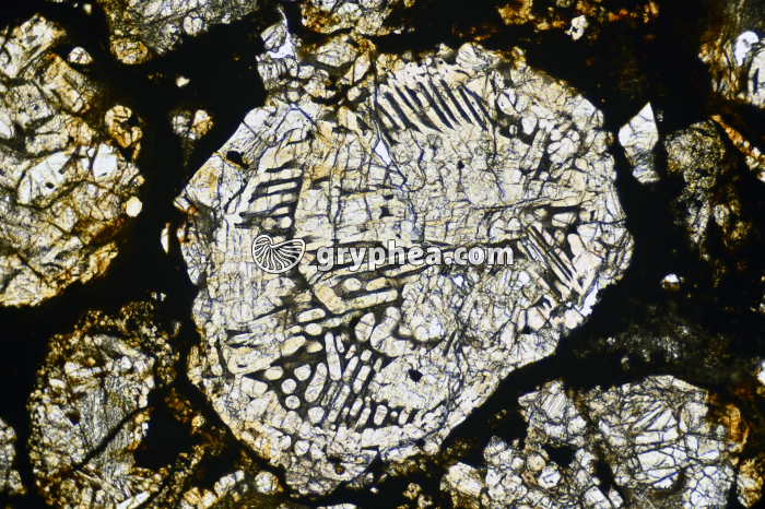 Météorite (Chondrite de type LL) LPNA x5,2 - gryphea.com